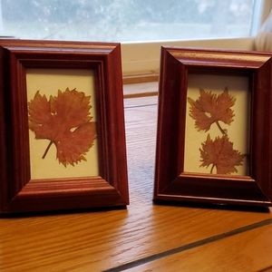 Beautiful Natural Dried Framed Leaf Pairing